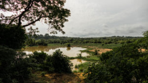 waterhole on savanna