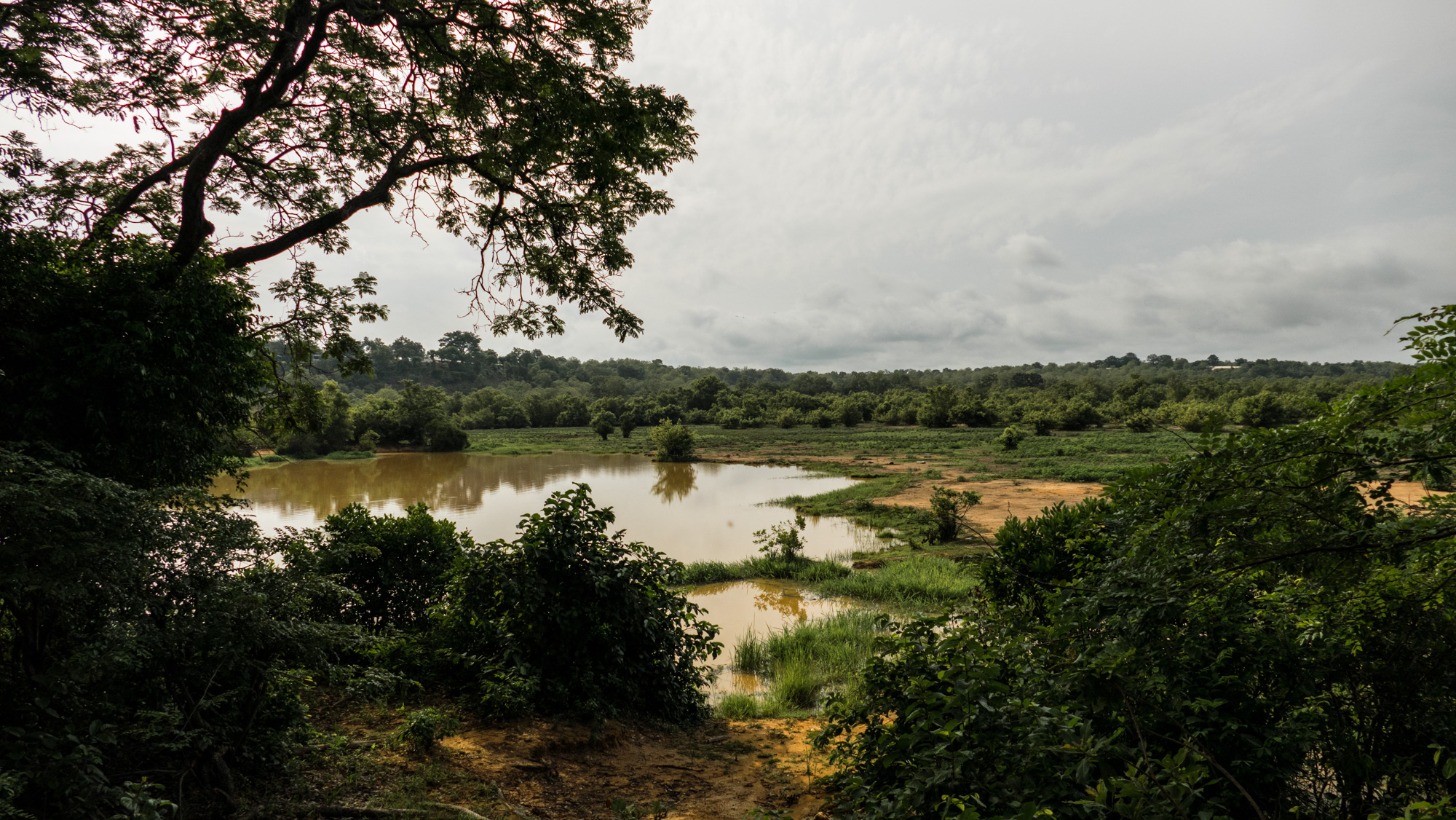 waterhole on savanna